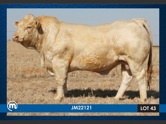 JM 220121