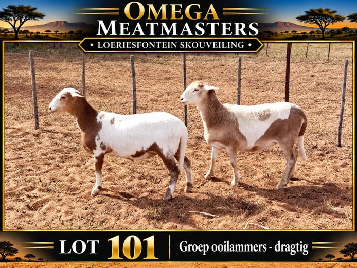 Omega Meatmasters