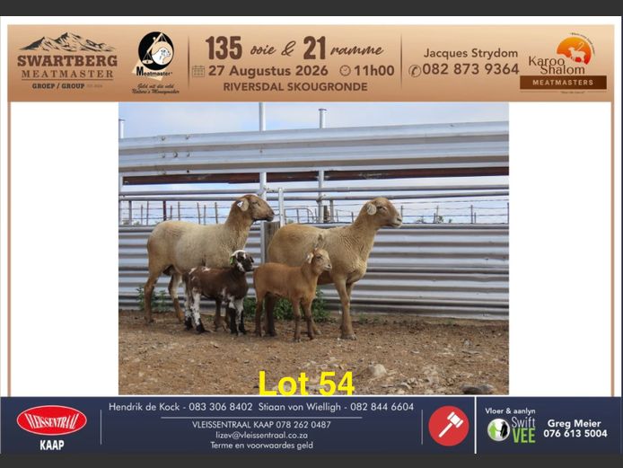 B25.41 | KAROO SHALOM