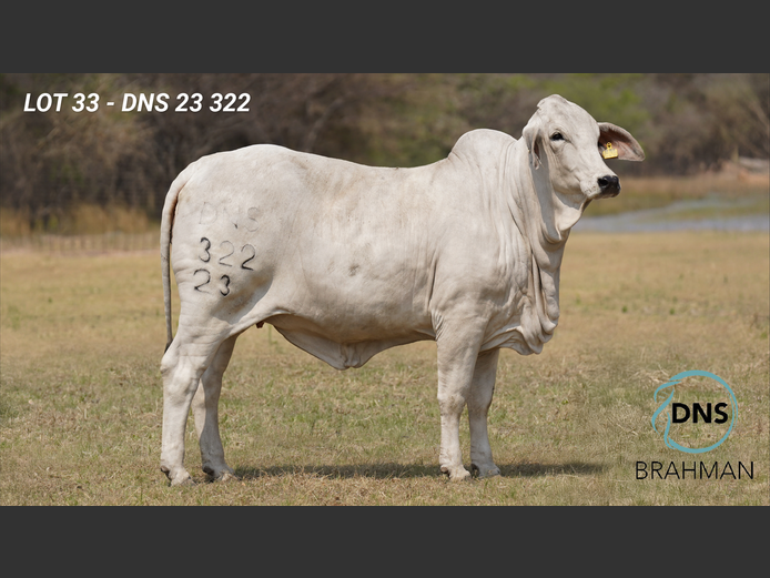 DNS23322 | JES-C BOERDERY (PTY) LTD
