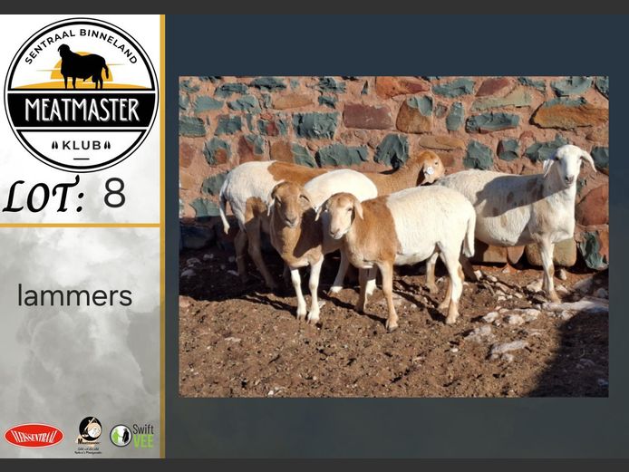 Ooie | H Koekemoer Meatmasters