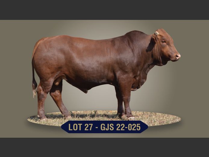 GJS220025 | G.J. STRYDOM