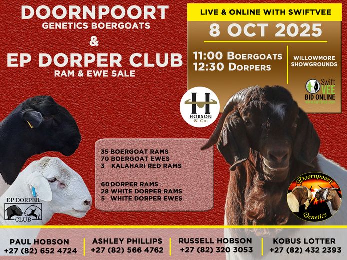 DOORNPOORT GENETICS BOERGOATS & EP DORPER CLUB RAM & EWE SALE