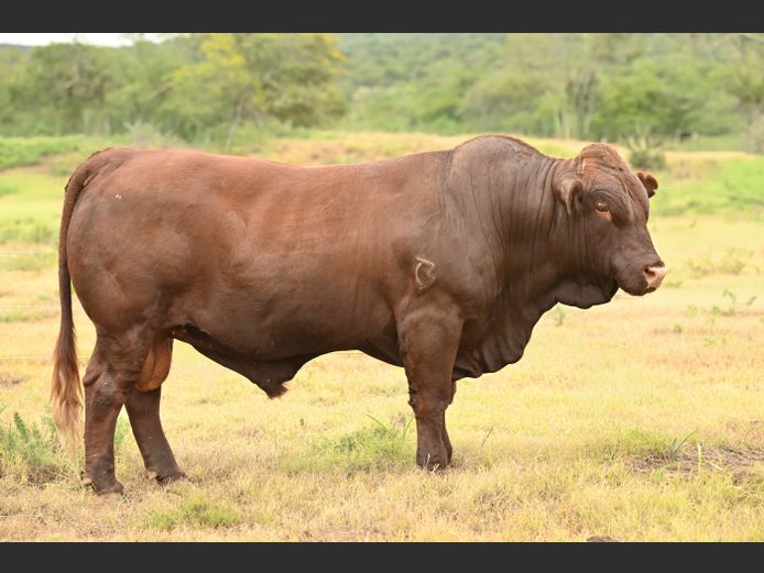 JOY 240007 | FETTING LIVESTOCK TRUST