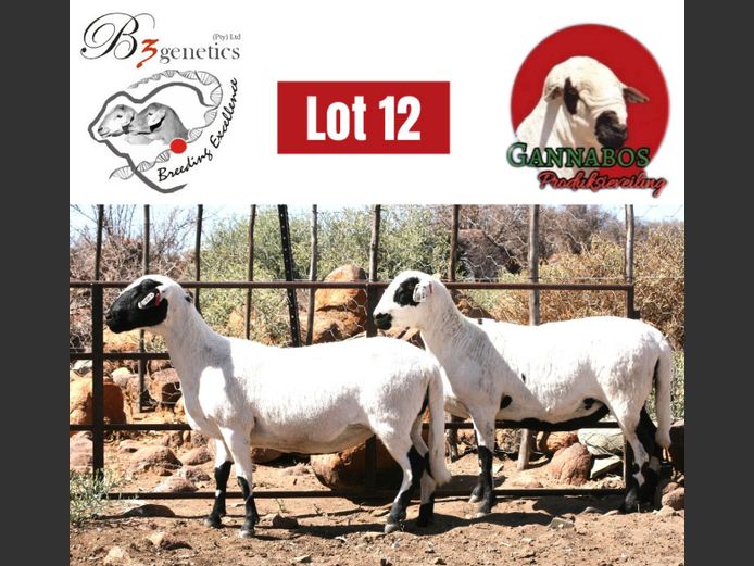 BBB24-0318 | B3genetics Pty Ltd