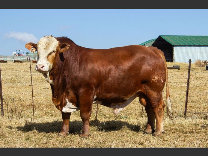 SE235C | OUBOET BOERDERY
