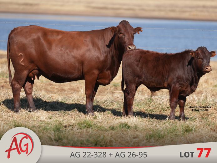AG220328 | ARTHUR DE VILLIERS & SEUN