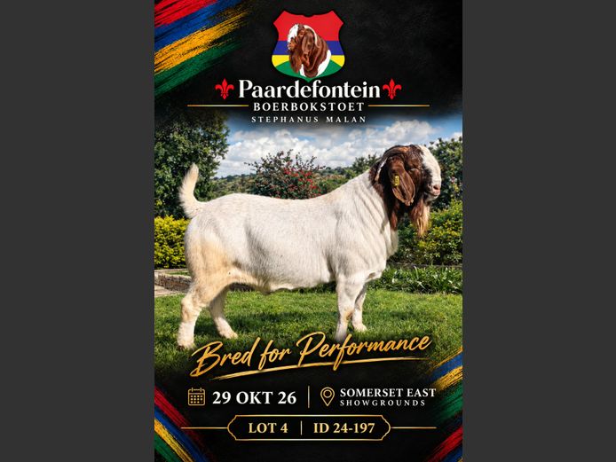 24-197 | Paardefontein BBS