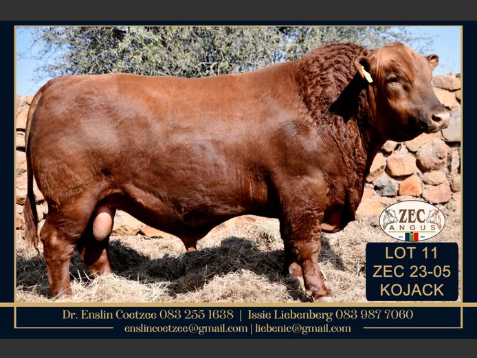 ZEC 230005 | Z.E. COETZEE