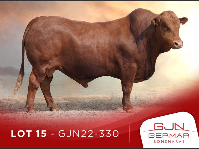 GJN220330
