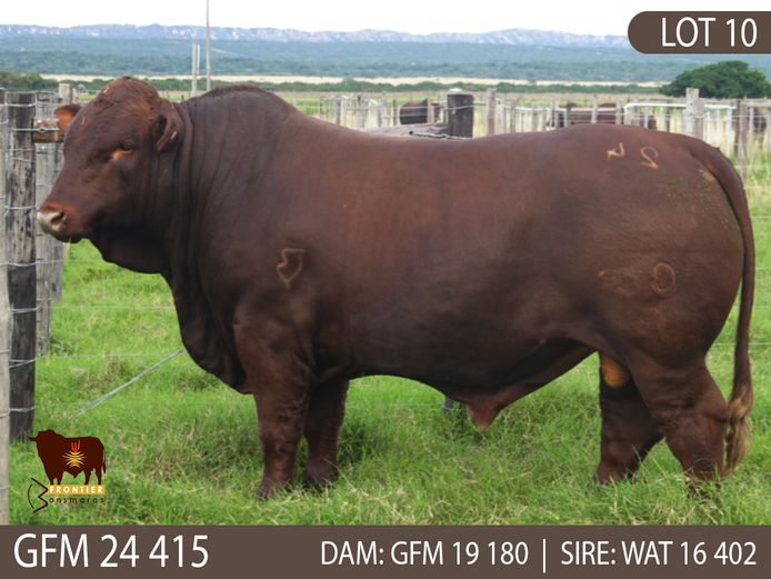 GFM 240415 | MEYER BONSMARAS