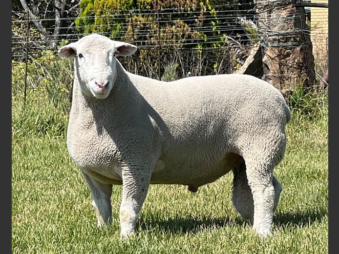 JB240092 | J.A BARNARD