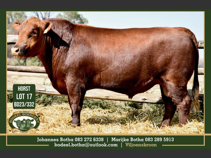 BD 230332 | BODEEL BOERDERY