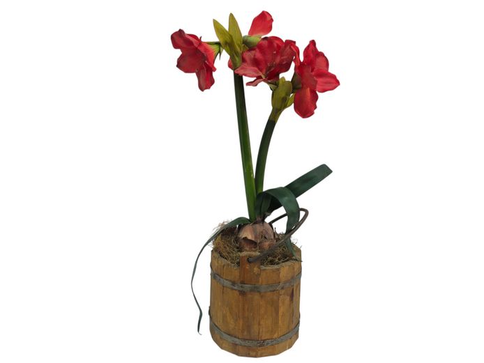 Rustic Wooden Bucket with Artificial Amaryllis