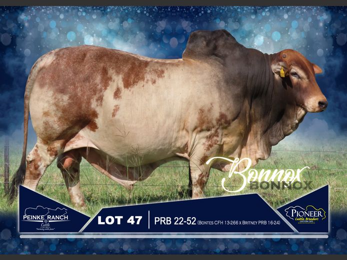 PRB 220052 | PEINKE RANCH