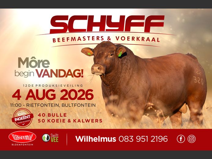SCHYFF BEEFMASTERS 12DE PRODUKSIEVEILING