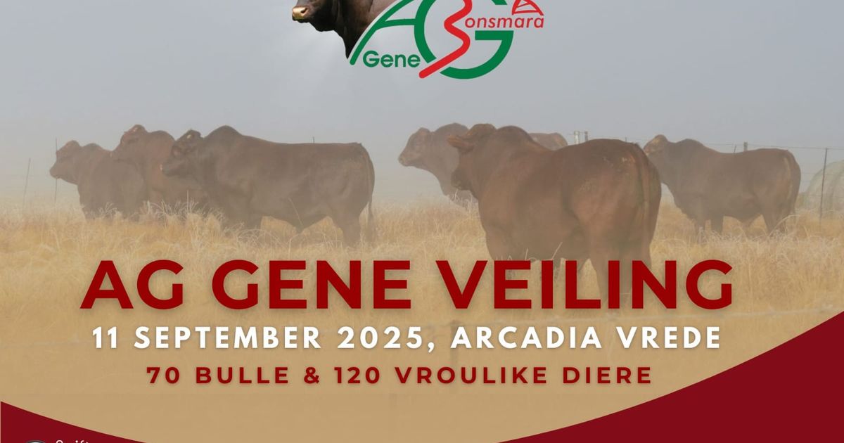 AG GENE VEILING | SwiftVEE | South Africa’s Leading Online Livestock ...