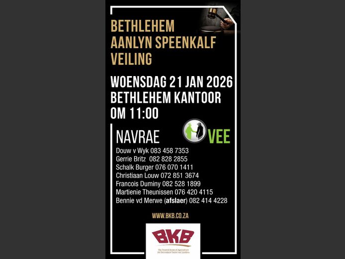 BETHLEHEM AANLYN SPEENKALF VEILING
