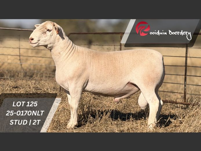 25-0170NLT | ROOIDUIN BOERDERY
