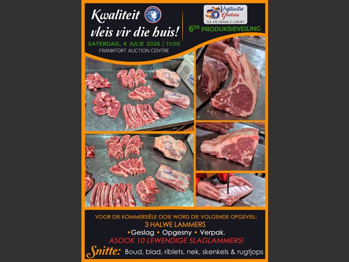 SLAUGHTER LAMBS 