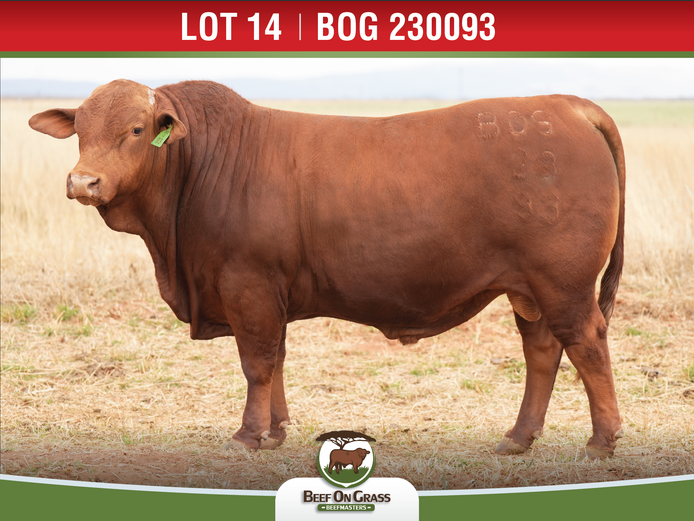 BOG 230093 | BEEF ON GRASS PTY LTD
