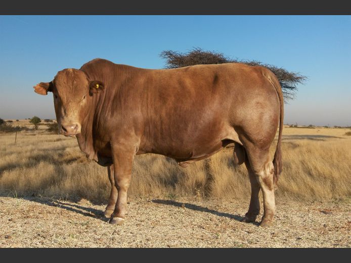 CHK230273 | A.J. KRIEL