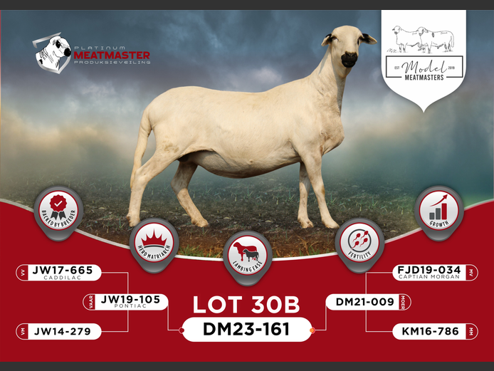 DM 23-0161 | Mario Marais - Model Meatmasters, Britz