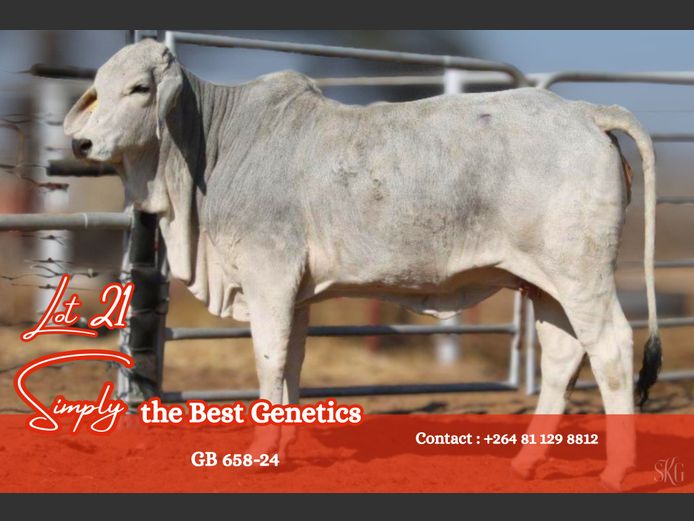 24-0658GB | GROENEWALDT BRAHMANE