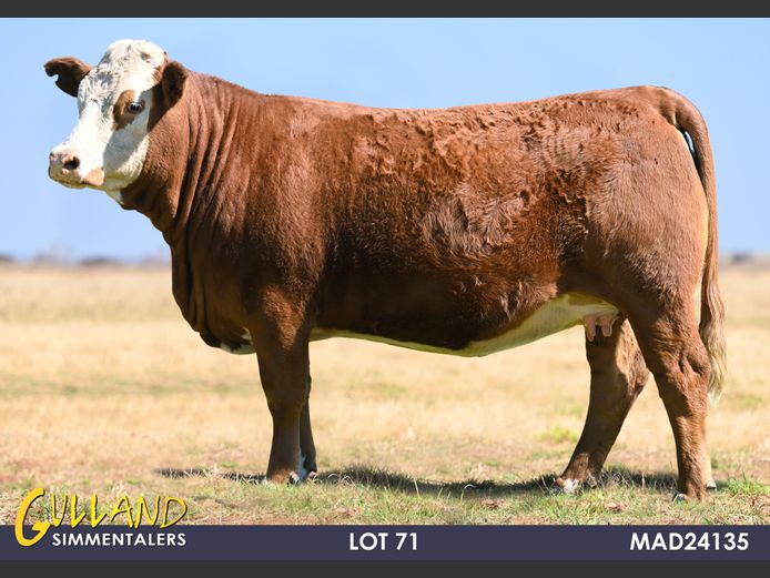 MAD24135 | MG DE JAGER
