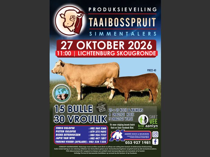 TAAIBOSSPRUIT SIMMENTALERS PRODUKSIEVEILING