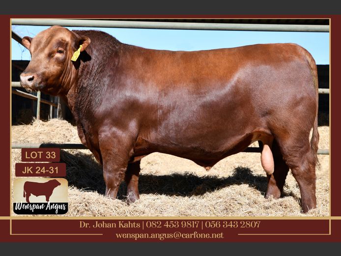 JK240031 | J. KAHTS