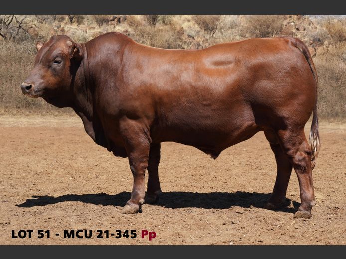 MCU21-0345