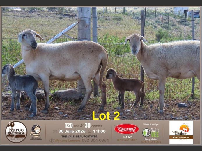 D25.184 | Jacques Strydom - Karoo Shalom Meatmasters