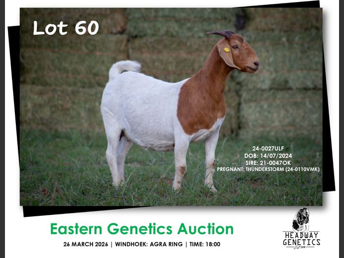 24-0027ULF | HEADWAY GENETICS