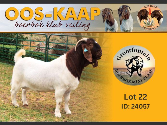 24-057 | Grootfontein