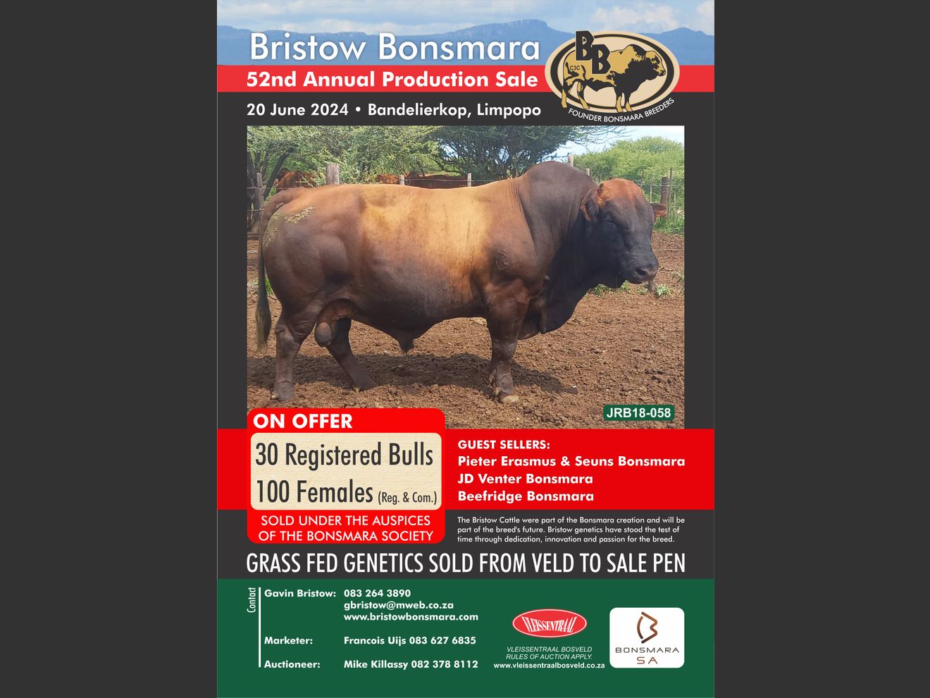 Lot 1A BRISTOW BONSMARA 52ND ANNUAL PRODUCTION SALE SwiftVEE