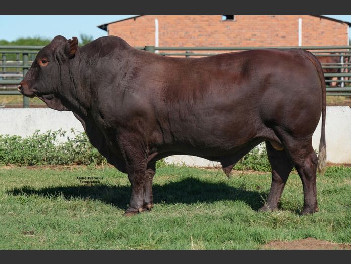 WVZ230022 | THUSO GRAAN EDMS BPK