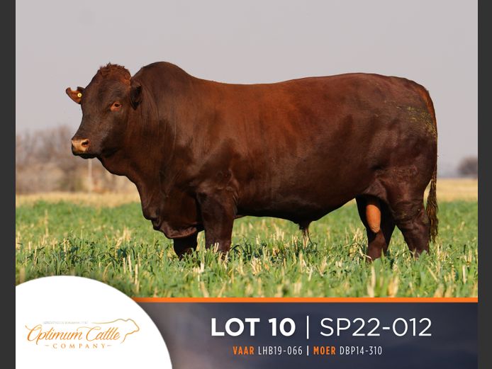SP  220012