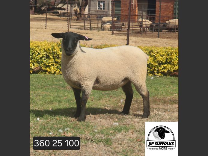 360250100 | J.I. POTGIETER