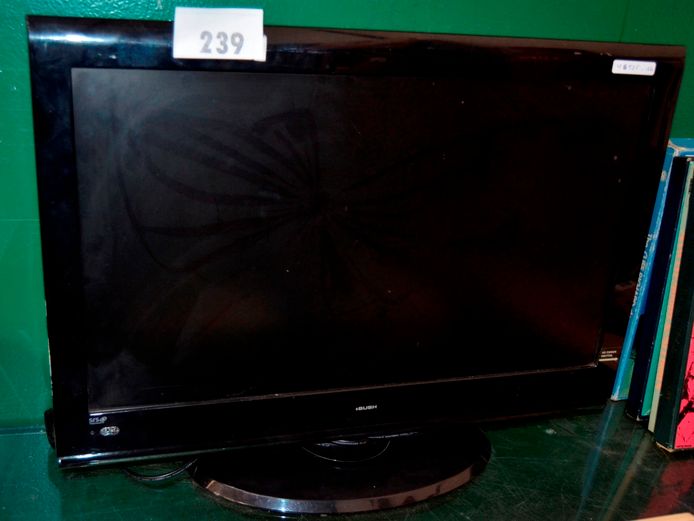 BUSH 24" FULL HD TV ON STAND WITH BUILT-IN DVD PLAYER [UK Plug, No Remote, screen cracked] ### LICENCE PLEASE ###
