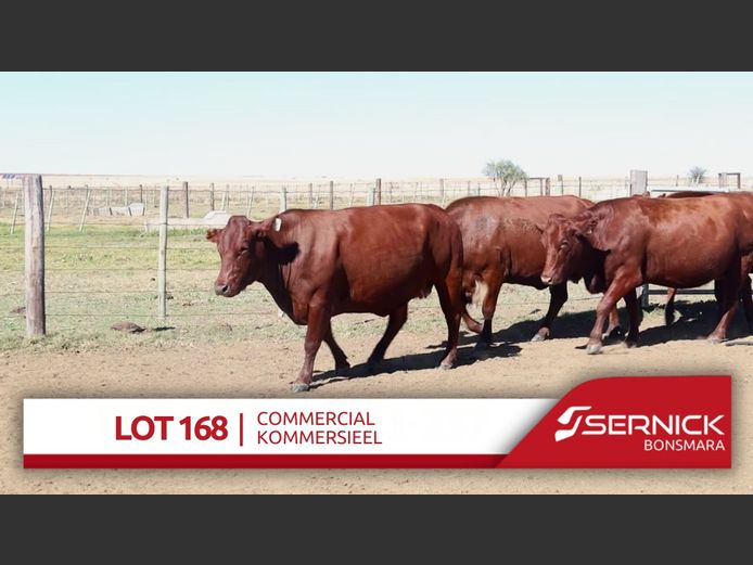Commercial Animals