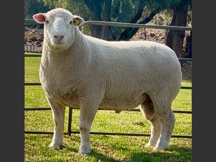 DH 240018 | HEYMAN DORMERS