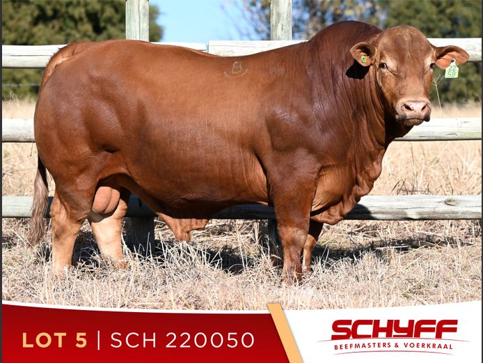 SCH 220050