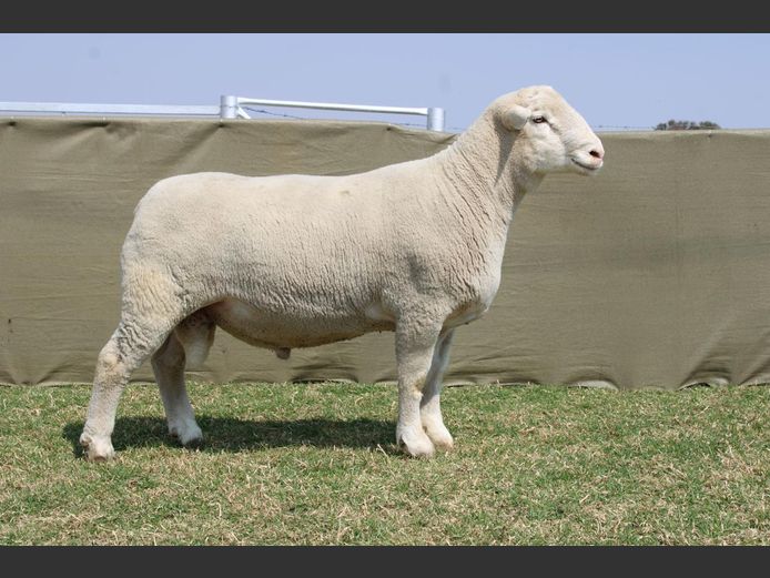 CVM 240039 | KALKVLEY DORMERS