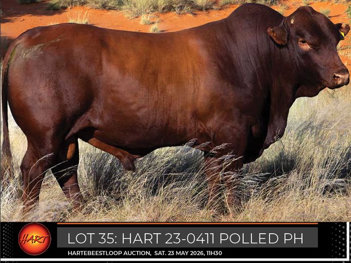 HART230411Pp(c) | HARTEBEESTLOOP BONSMARA