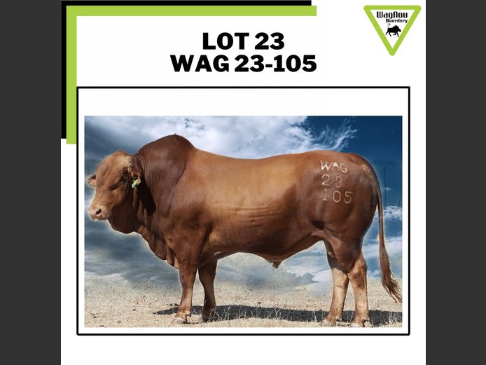 WAG 230105 | WAGNOU BOERDERY