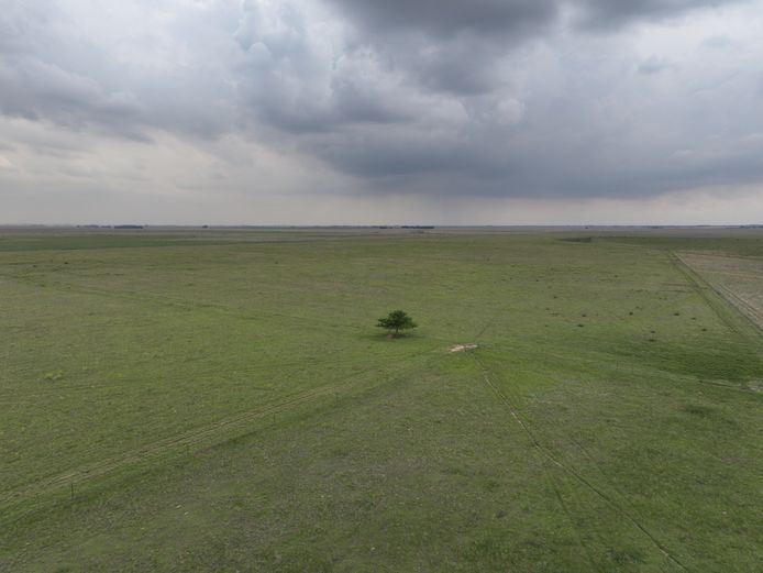 Farm 1612 OTTOSDAL Reg Div: HEILBRON RD