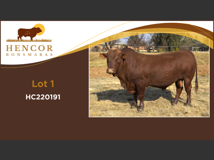 HC  220191 | HENCOR BOERDERY