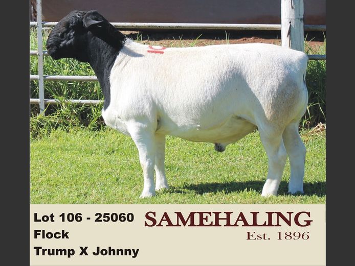 25060-330 | SAMEHALING DORPERS