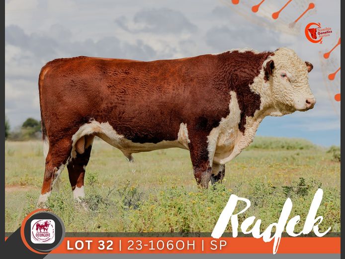 23-0106OH | OTONGOVI HEREFORD